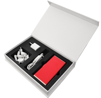 battery box battery box1 Review FlyNet2 de Advanced Sport Instrument.