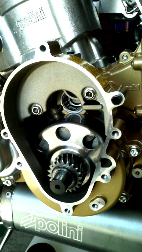 reductora-2 reductora 2 REVIEW POLINI THOR 250 CC.