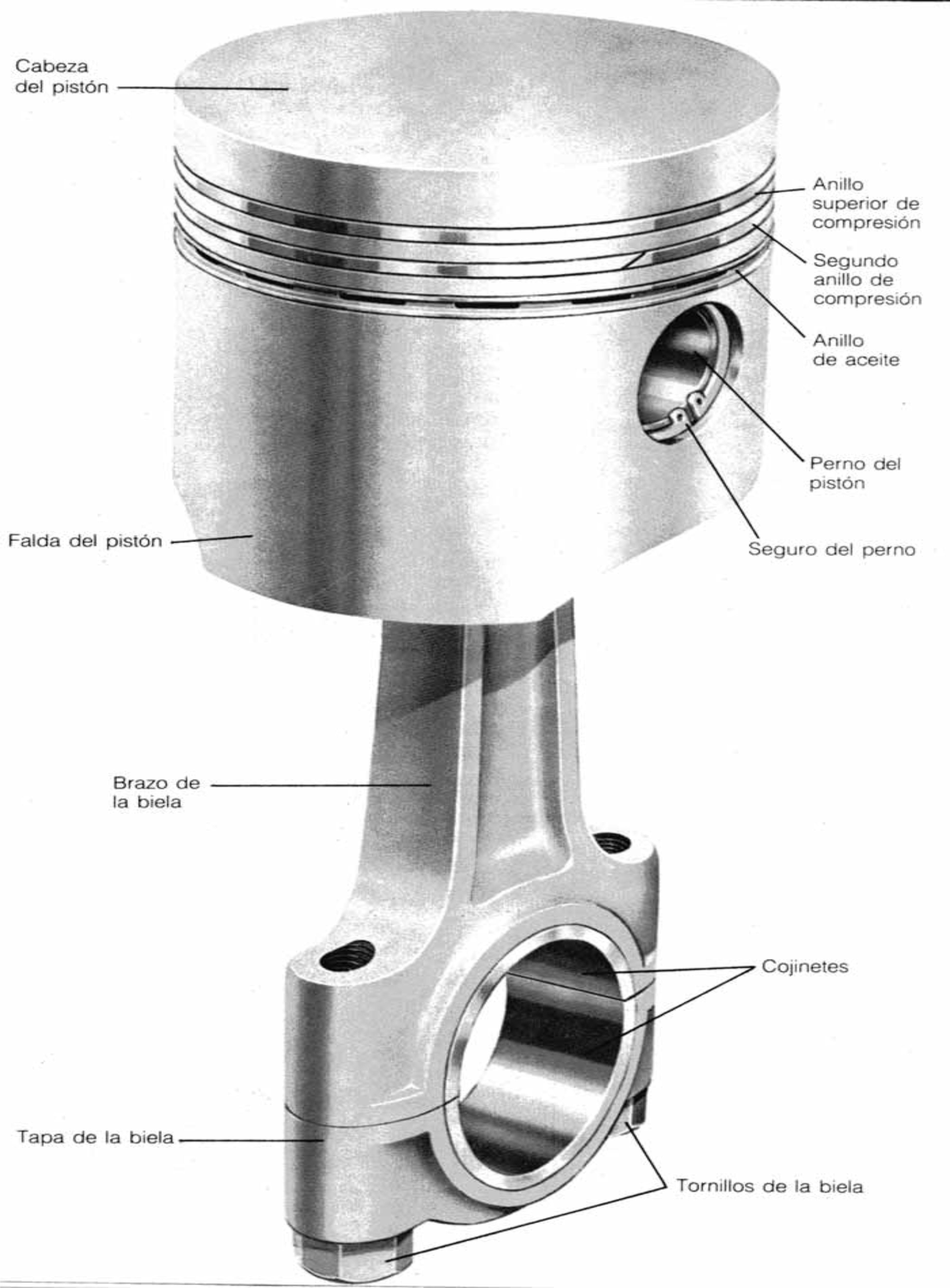 Piston en ingles